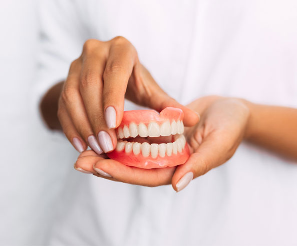 Hands holding dental model displaying white teeth and pink gums against white background.